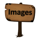 Signal Images Icon